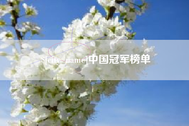 邯郸中国冠军榜单