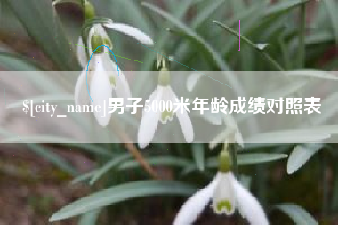 邯郸男子5000米年龄成绩对照表