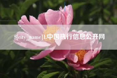 邯郸1.中国执行信息公开网