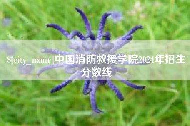 邯郸中国消防救援学院2024年招生分数线