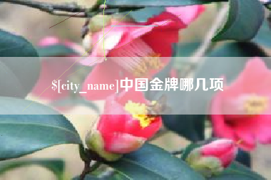 邯郸中国金牌哪几项