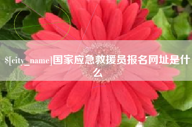 邯郸国家应急救援员报名网址是什么