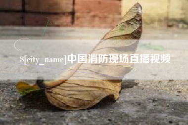 邯郸中国消防现场直播视频