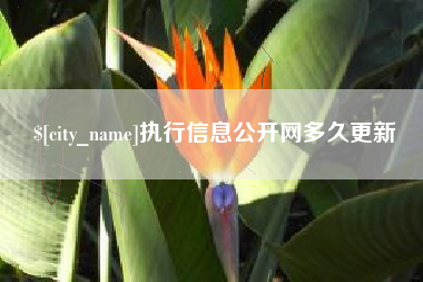 邯郸执行信息公开网多久更新