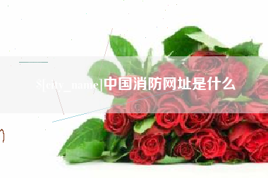 邯郸中国消防网址是什么