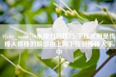 邯郸60米接力赛技巧-下压式则是传棒人将棒的前部由上向下传到接棒人手中