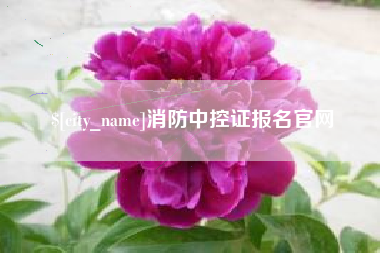邯郸消防中控证报名官网
