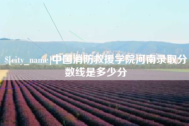 邯郸中国消防救援学院河南录取分数线是多少分