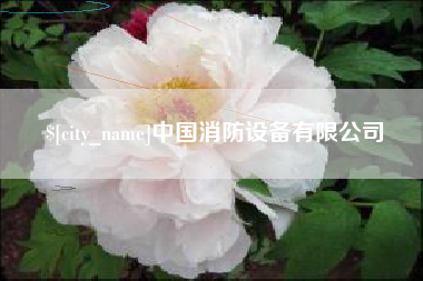 邯郸中国消防设备有限公司