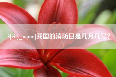 邯郸我国的消防日是几月几号？