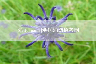 邯郸全国消防招考网