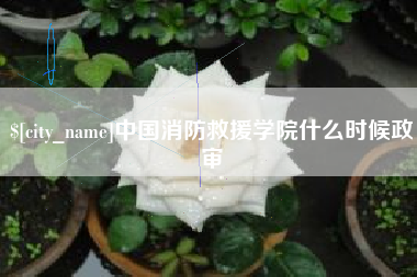 邯郸中国消防救援学院什么时候政审