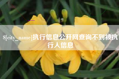 邯郸执行信息公开网查询不到被执行人信息