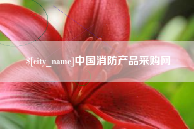 邯郸中国消防产品采购网