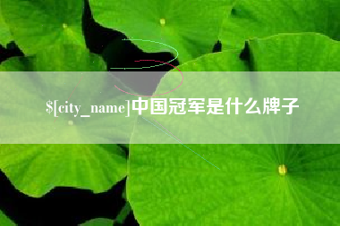 邯郸中国冠军是什么牌子
