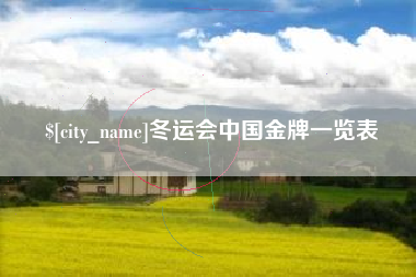 邯郸冬运会中国金牌一览表