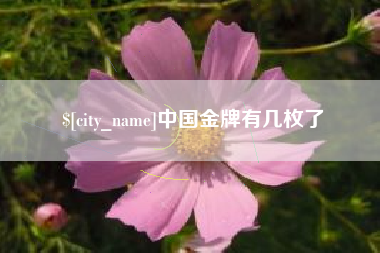 邯郸中国金牌有几枚了