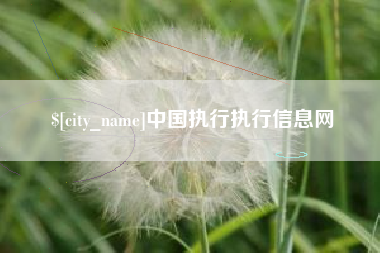 邯郸中国执行执行信息网