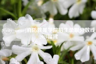 邯郸消防救援学院招生录取分数线2020福建