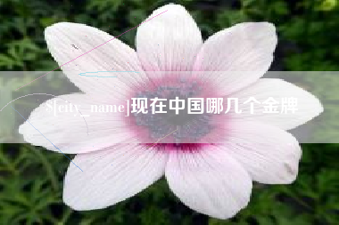 邯郸现在中国哪几个金牌
