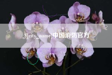 邯郸中国消防官方