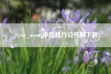 邯郸中国执行公开网下载
