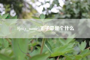 邯郸王子豪是个什么