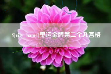 邯郸奥运金牌第二个九宫格