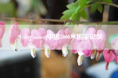 邯郸中国5000米国家记录