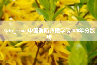 邯郸中国消防救援学院2020年分数线