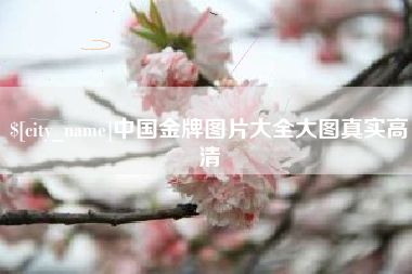 邯郸中国金牌图片大全大图真实高清
