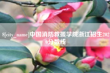 邯郸中国消防救援学院浙江招生2020分数线