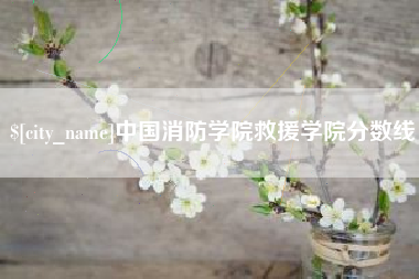 邯郸中国消防学院救援学院分数线