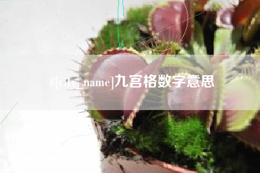 邯郸九宫格数字意思