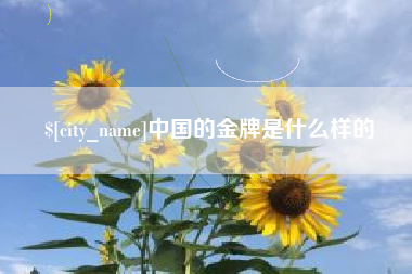 邯郸中国的金牌是什么样的
