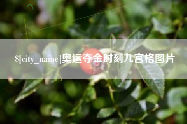 邯郸奥运夺金时刻九宫格图片