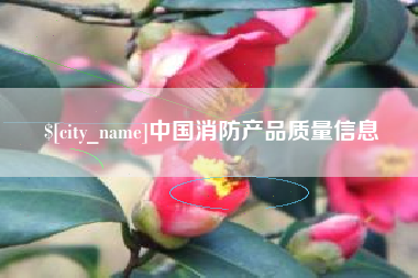 邯郸中国消防产品质量信息
