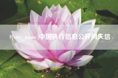 邯郸中国执行信息公开网失信