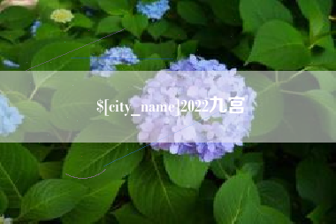 邯郸2022九宫