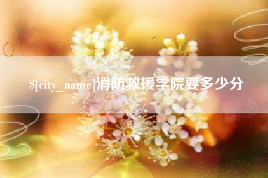 邯郸消防救援学院要多少分
