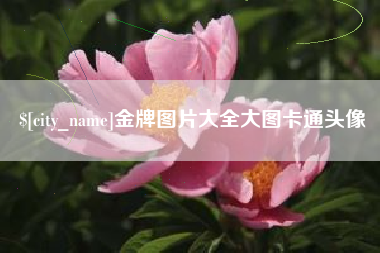 邯郸金牌图片大全大图卡通头像
