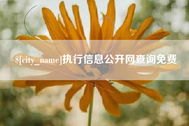 邯郸执行信息公开网查询免费