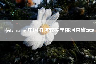 邯郸中国消防救援学院河南省2020